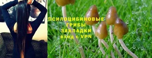 МДМА Белокуриха